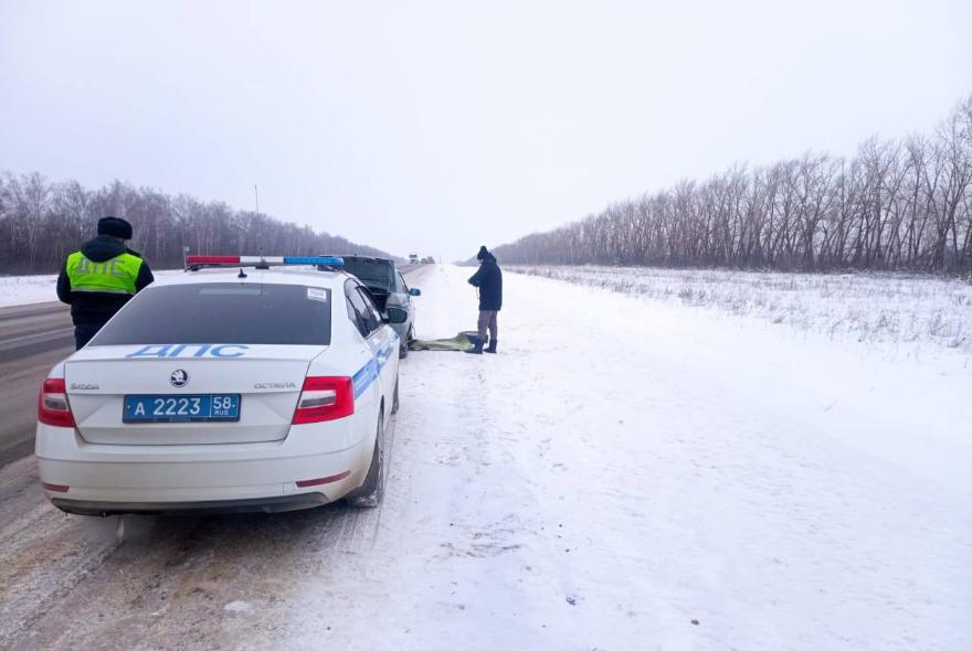 Пензенские полицейские помогли водителю, застрявшему на трассе в мороз