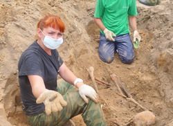 Пензенские поисковики обнаружили в Беларуси останки 14 красноармейцев