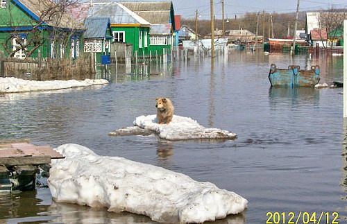 Паводок в Пензенской области