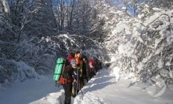 В Пензенской области в агитпоходе приняли участие более тысячи человек