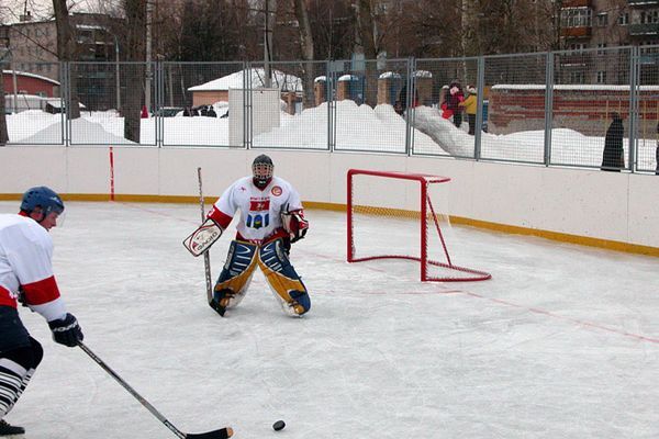 В Пензенской области на базе школ будут строить хоккейные площадки
