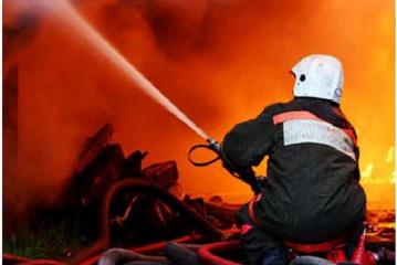 В Шемышейском районе добровольцы помогли потушить пожар