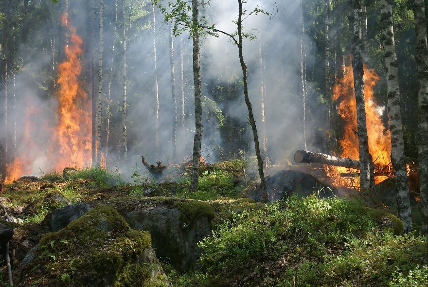 В Пензенской области пожароопасный период продлится до 15 октября