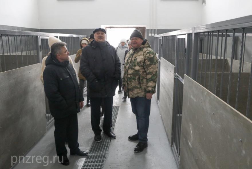 Мельниченко осмотрел приют для бездомных собак в Каменке