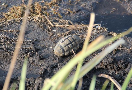 В Пензенской области на берегу пруда нашли гранаты времен ВОВ