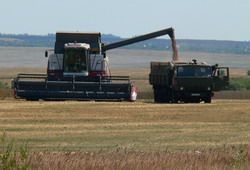 В Пензенской области гибель зерновых составила 342 тысячи гектаров