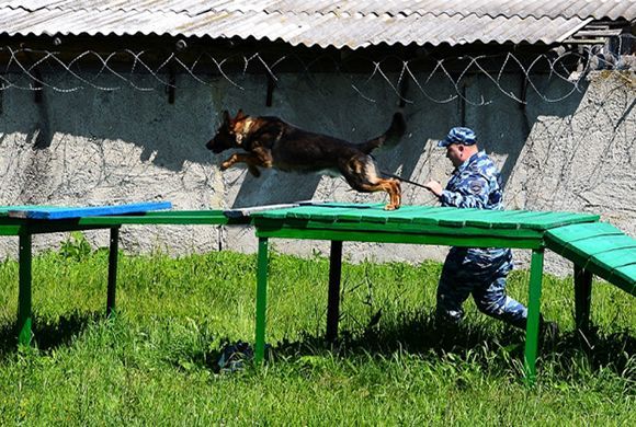 В Пензе выбрали самого «носатого» полицейского