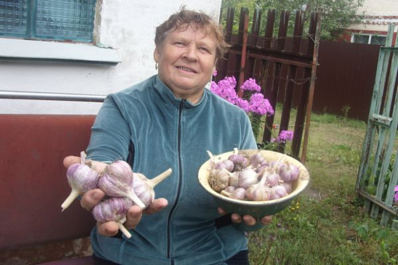 Созревшее убираем, новое сажаем