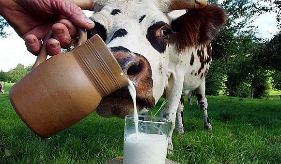 В Пензенской области стали производить больше мяса и молока
