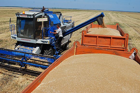 В Пензенской области намолотили более 510 тыс. тонн зерна