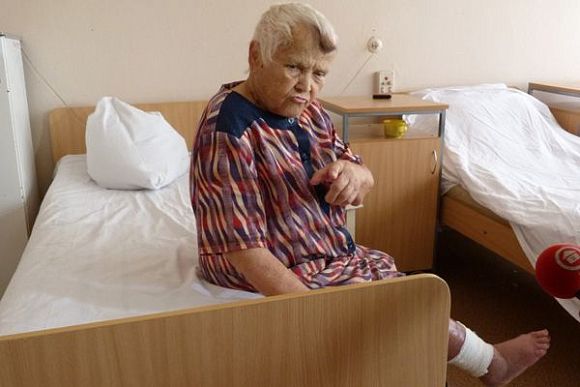 Под Пензой 84-летнюю женщину во дворе дома укусила гадюка