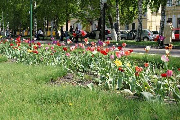 Самый благоустроенный район Пензенской области получит 20 млн рублей