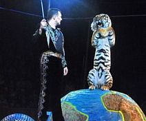 В цирке новая программа – «Тигры на зеркальных шарах»