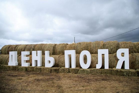 «День поля» пройдет в Пензенской области в июле
