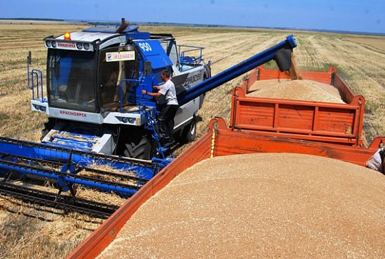 Пензенский минсельхоз доложил о трех районах с высокой урожайностью зерновых