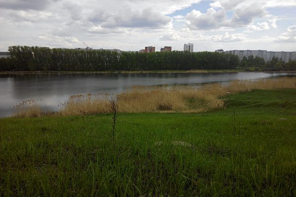 Пензенская область заняла 33 место экологического рейтинга регионов РФ