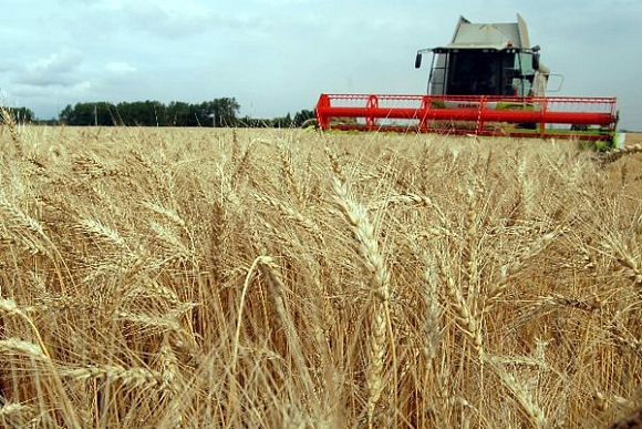 Пензенская область лидирует среди регионов ПФО по урожайности зерновых