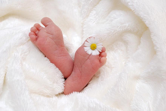 В феврале в Пензенском перинатальном центре родился 291 малыш