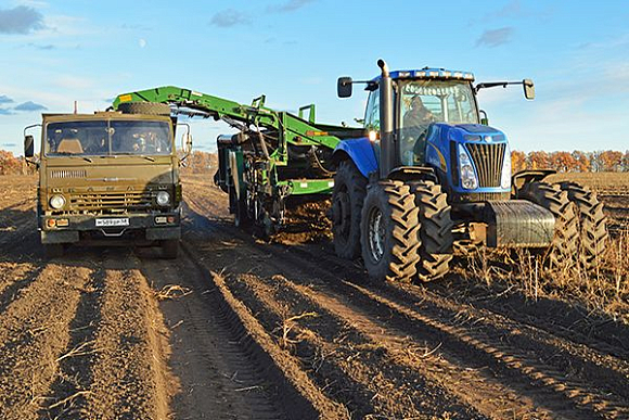 Валовый объем сельхозпродукции в регионе составил 88,3 млрд рублей