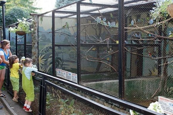 Зоопарк Пензы стал членом Союза музеев России