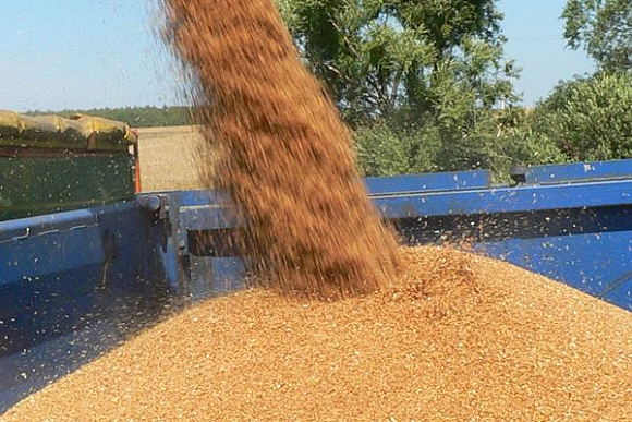 Пара пензенских пенсионеров украла 2 тонны пшеницы