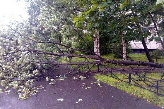 В Пензе из-за прошедшего урагана без света осталось несколько сотен домов