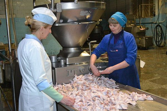 Свердловские производители готовы предложить свою продукцию пензенцам