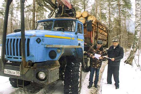 В Пензенской области перекроют незаконные каналы поставки леса