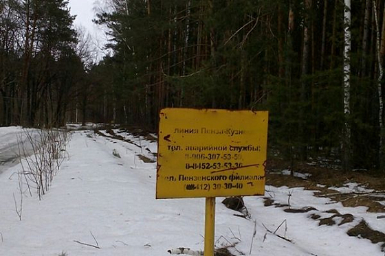 В Пензенской области мобильный оператор «осквернил» Светлополянские болота