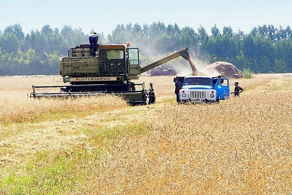 Аграриям Пензенской области предстоит убрать зерновых на площади 561,6 тыс. га