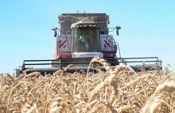 Пензенские аграрии в 2017 году планируют собрать 2,3 млн тонн зерновых