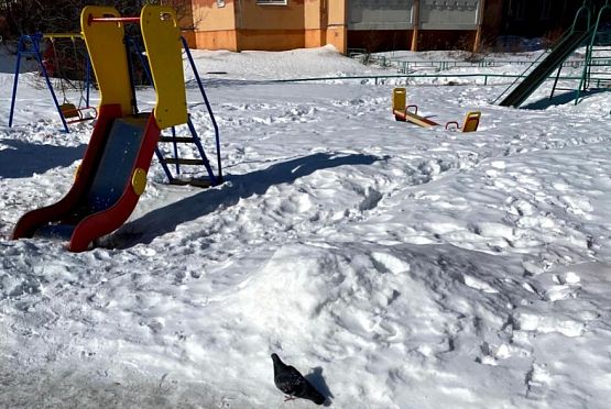 В Пензе проверят состояние детских площадок