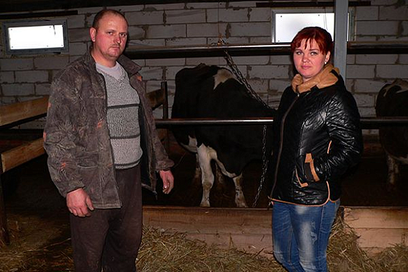 Многодетная семья Фадейкиных из Кривошеевки открыла фермерское хозяйство