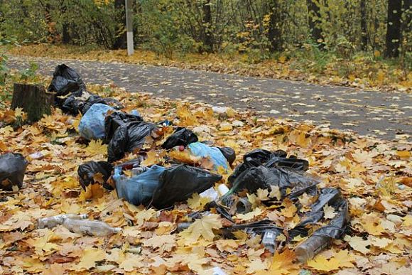 Пензенские волонтеры после уборки в лесопарке оставили мешки с мусором