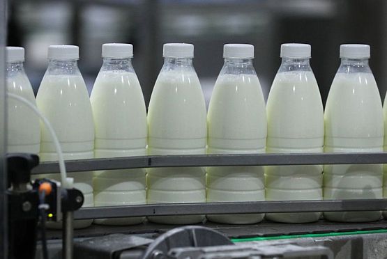 Пензенская область держится в лидерах по среднесуточному надою молока в России