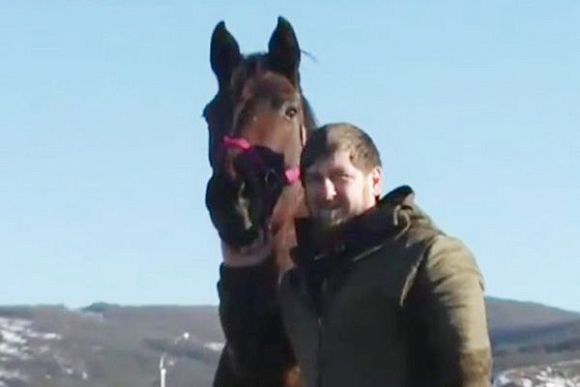 Рамзан Кадыров спас пензенскую лошадь от мясокомбината