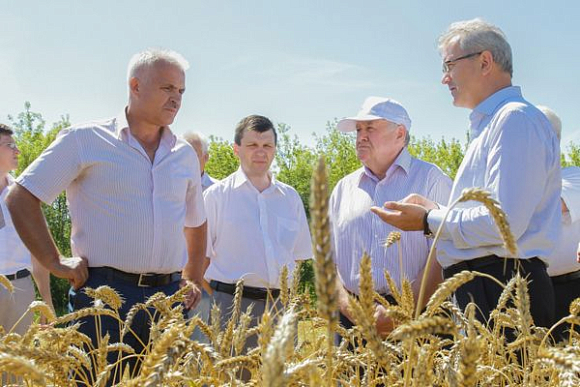 На полях Пензенской области намолотили миллион тонн зерновых