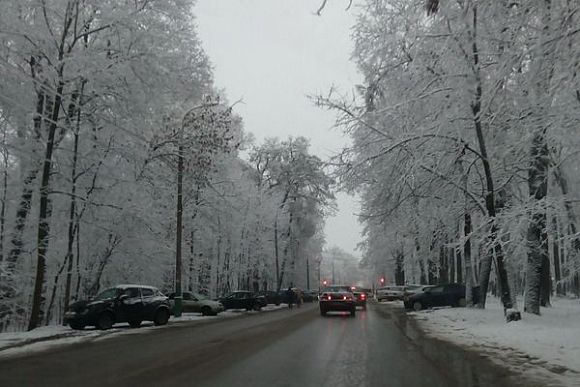 В Пензу после заморозков вновь идет потепление