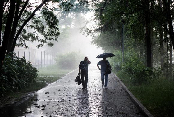 В Пензе 17 августа будет жарко и дождливо