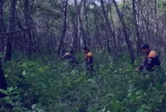 В Шемышейском районе отец и сын заблудились в лесу