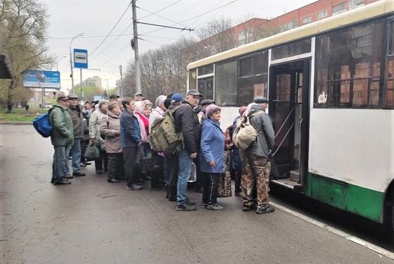 Почти 300 тысяч пензенцев перевезли дачные автобусы в 2023