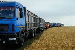 В Пензенском районе жатву зерновых планируют завершить в сентябре