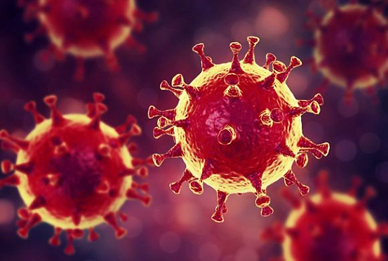 Информация оперштаба по коронавирусу размещается на сайте правительства Пензенской области