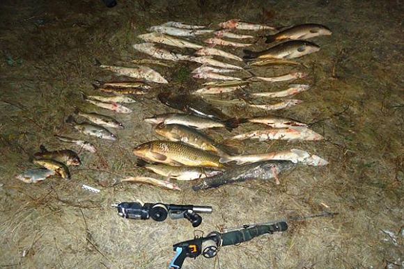 В Лунинском районе задержаны браконьеры с рыбой, занесенной в «Красную книгу»