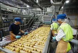 В Пензенской области появится предприятие по производству картофеля
