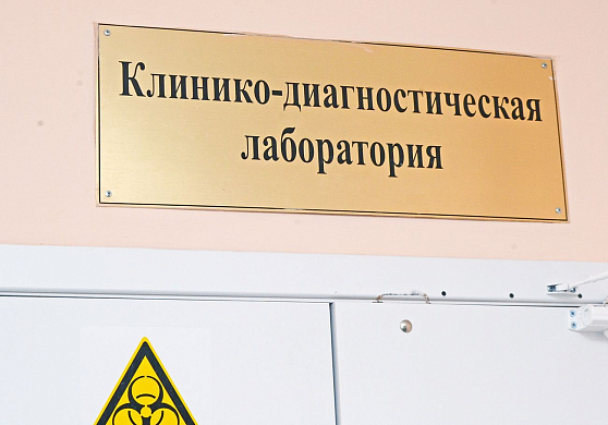 В Пензенской области 10 августа выявлено 239 новых случаев заболевания ковидом