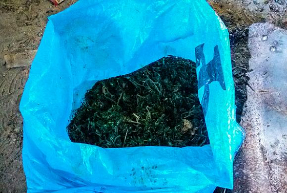   У жителя Пензенской области нашли пакет с марихуаной