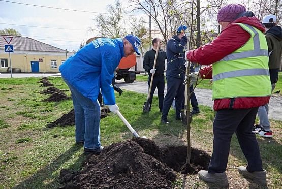 В Железнодорожном районе состоялась акция «Сад памяти»