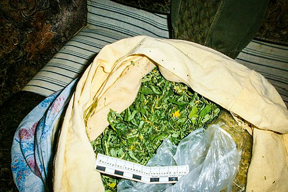 В Городищенском районе 70-летний пенсионер хранил марихуану