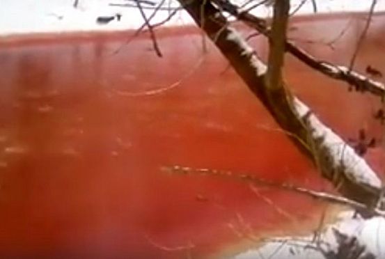 Пензенцы обсуждают видео с «кровавой рекой»